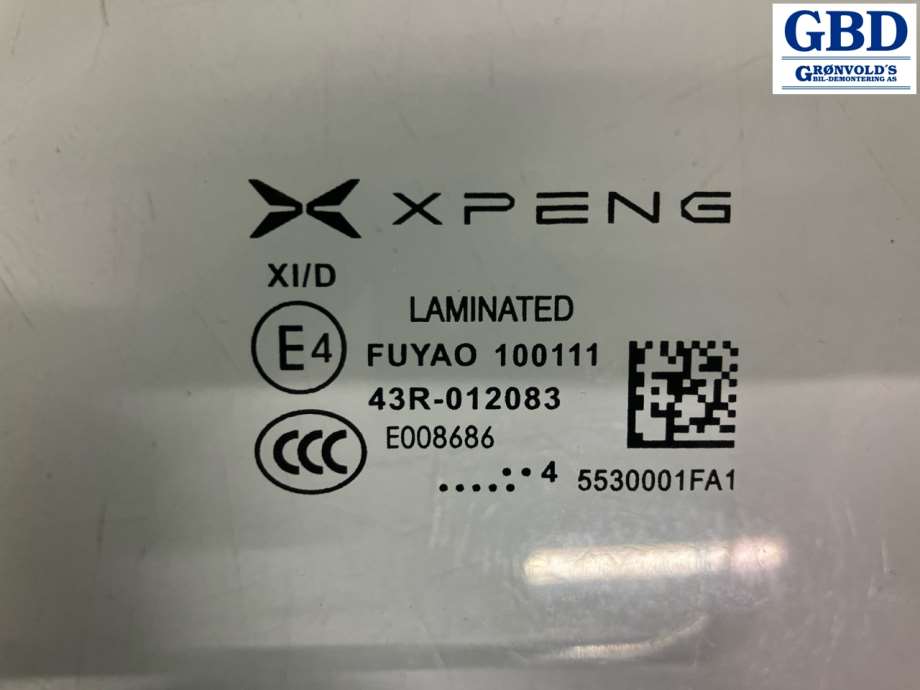 XPeng G6, 2023- (5530001EA1-00-02)