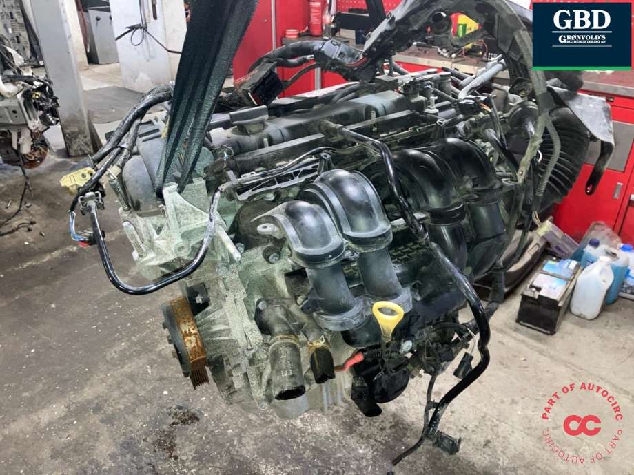 Motor bensin til Ford Fiesta 2013-2017 (Type VI, Fase 2) (IQJA|1537995|8A6G-6006-DA)