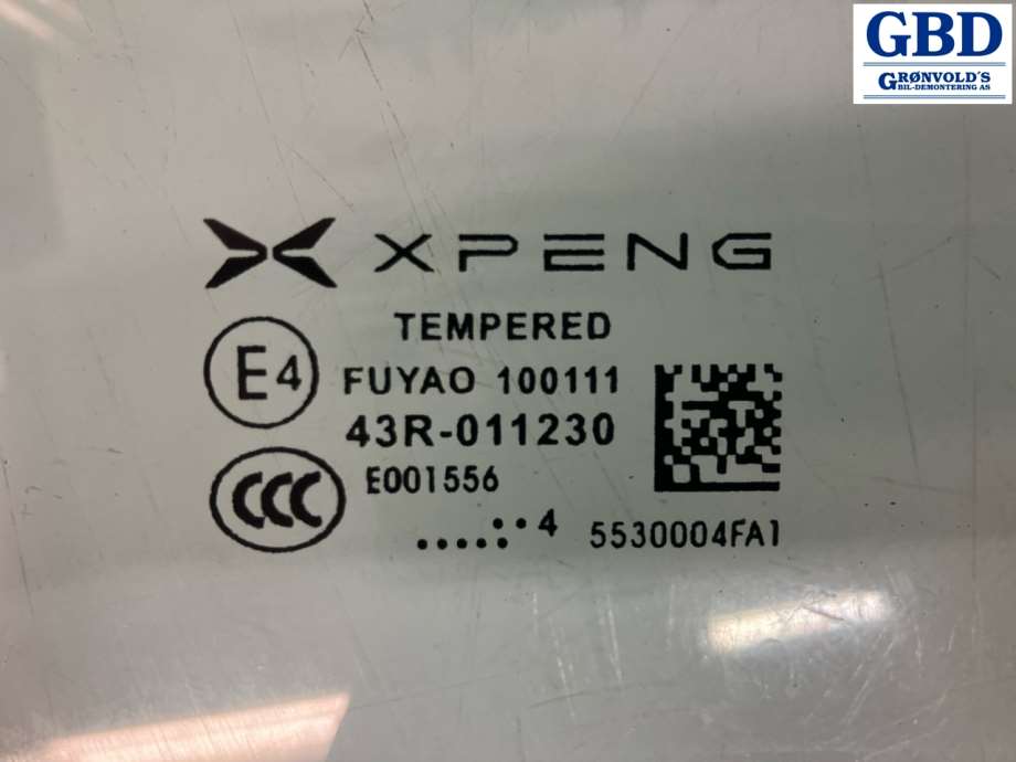 XPeng G6, 2023- (5530004EA2-00-02)