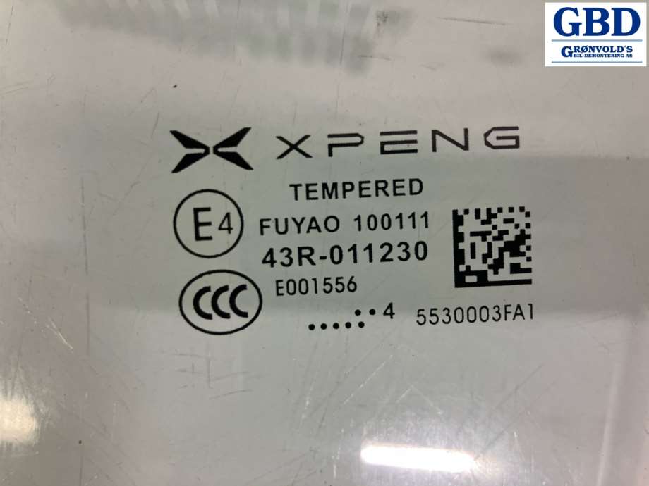 XPeng G6, 2023- (5530003EA2-00-02)