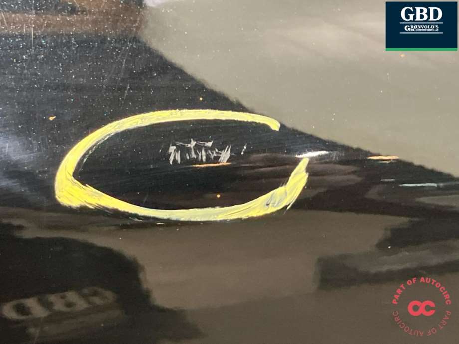 Renault Zoe, 2013-2019 (Fase 1) (821013444R|821011380R)