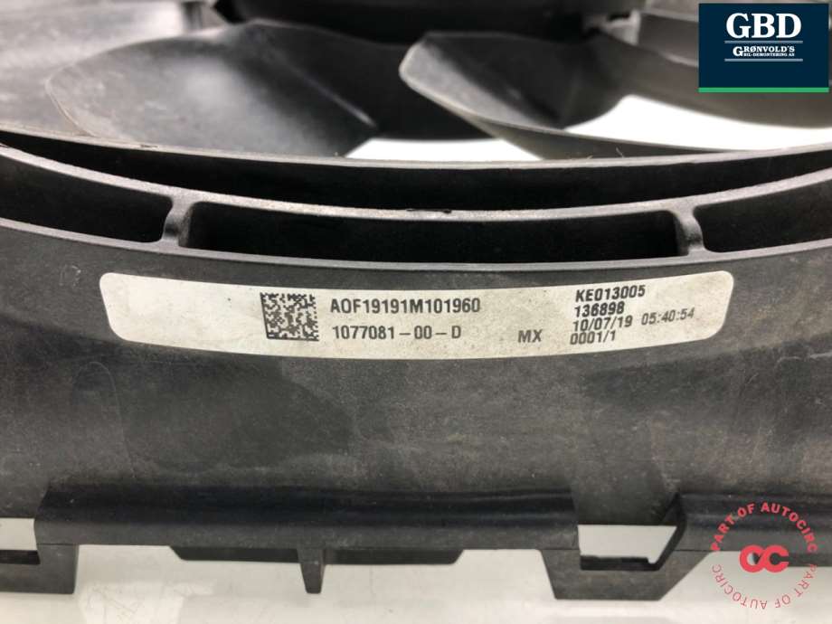 Tesla Model 3, 2018-2023 (Fase 1) (1077084-00-E)