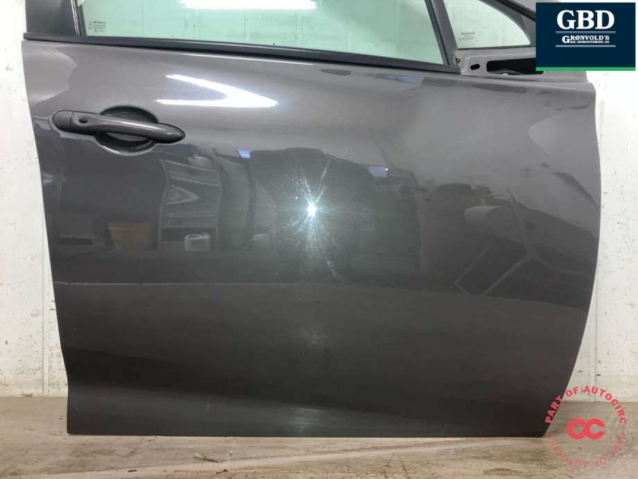 Renault Zoe, 2013-2019 (Fase 1) (801004005R|801003119R)