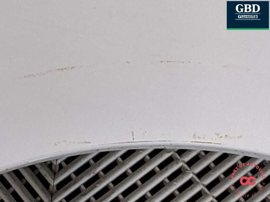 Skjerm venstre foran til Renault Kangoo 2008-2021 (Type II)  (631011368R|631012905R|)