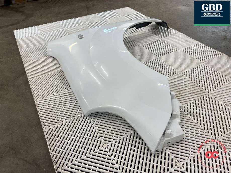 Skjerm venstre foran til Renault Kangoo 2008-2021 (Type II)  (631011368R|631012905R|)