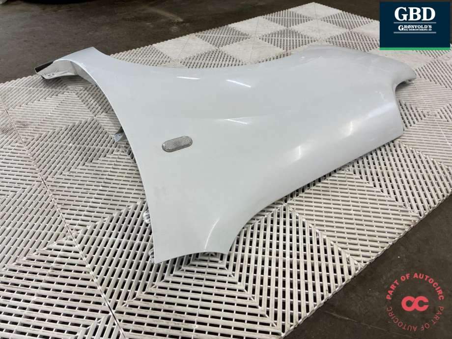 Skjerm venstre foran til Renault Kangoo 2008-2021 (Type II)  (631011368R|631012905R|)