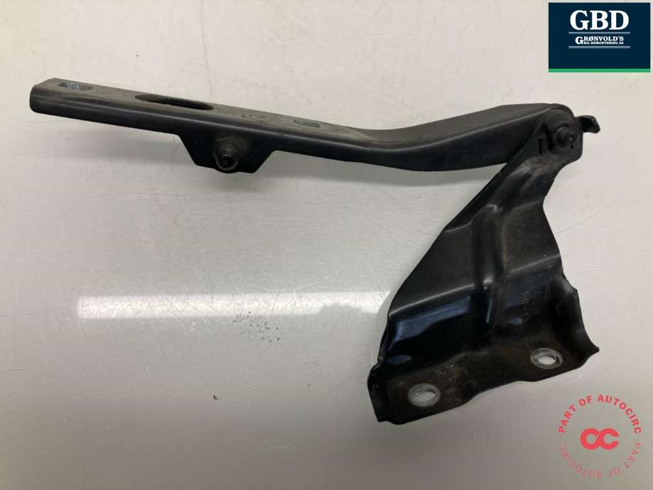 Panserhengsler til Audi Q5 2008-2012 (Type I, Fase 1)  (8R0 823 301 A|)