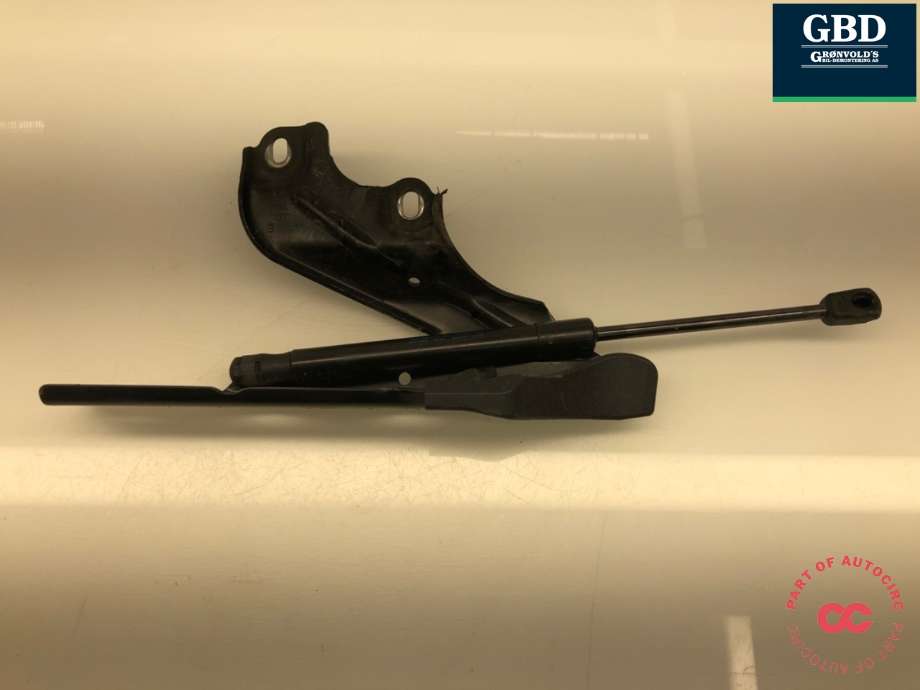 Panserhengsler til Audi A7, 2014-2018 (Type I, Fase 2)  (4G8 823 301 E)