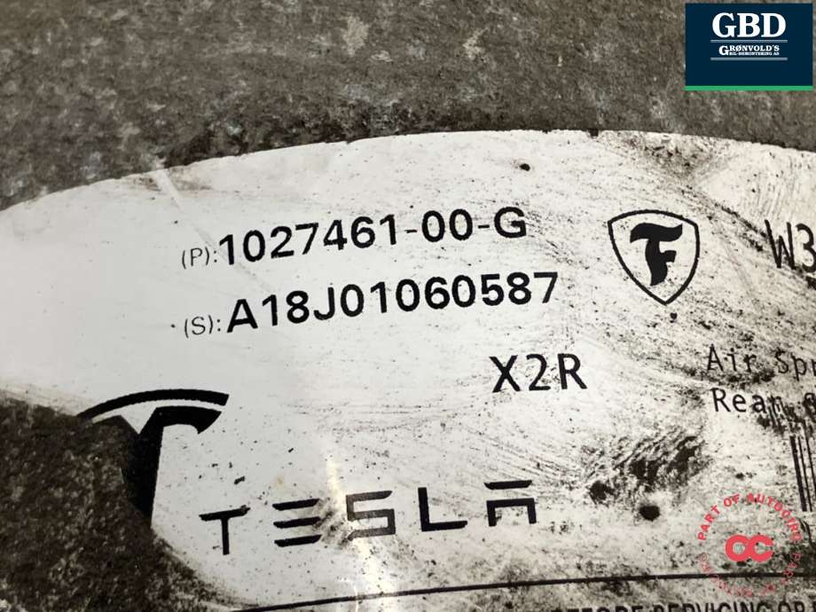 Fjær bak nivå luftpute/belg til Tesla Model X 2016-->>  (1027461-00-G|)