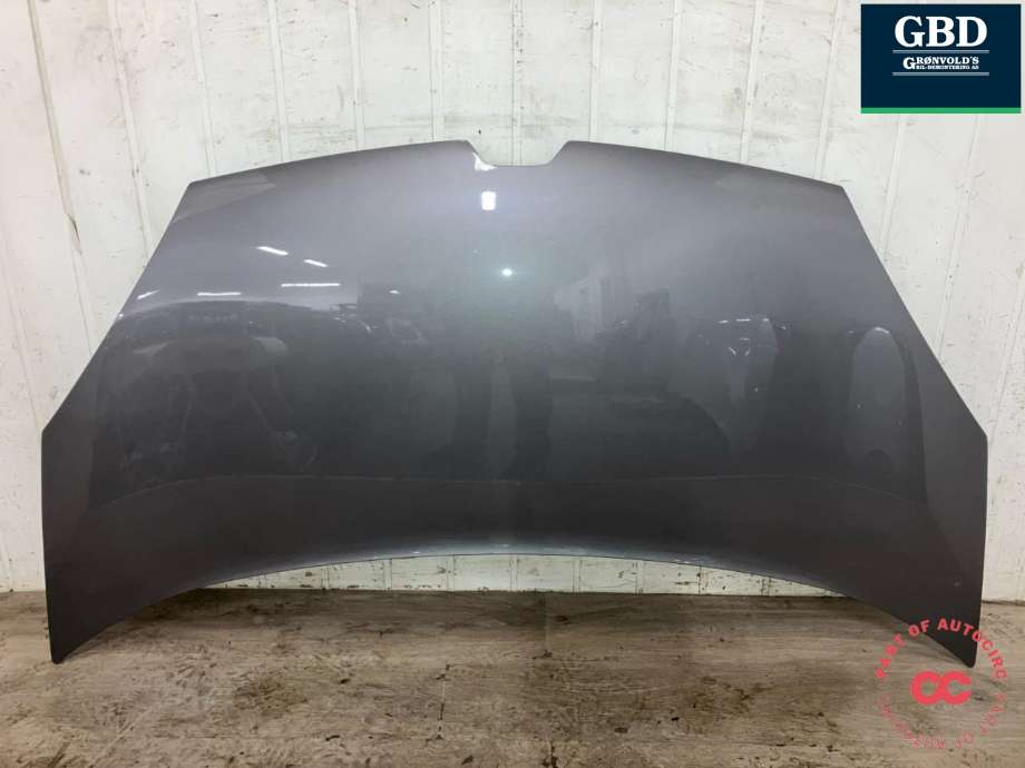 Panser til Renault Kangoo 2008-2021 (Type II) (651009758R|651001209R|)