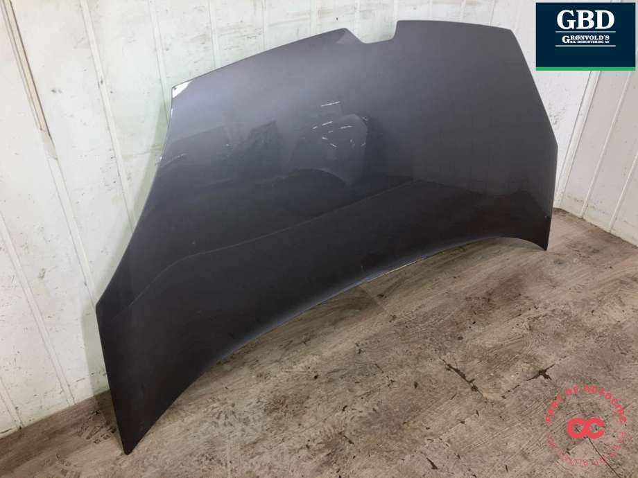 Panser til Renault Kangoo 2008-2021 (Type II) (651009758R|651001209R|)