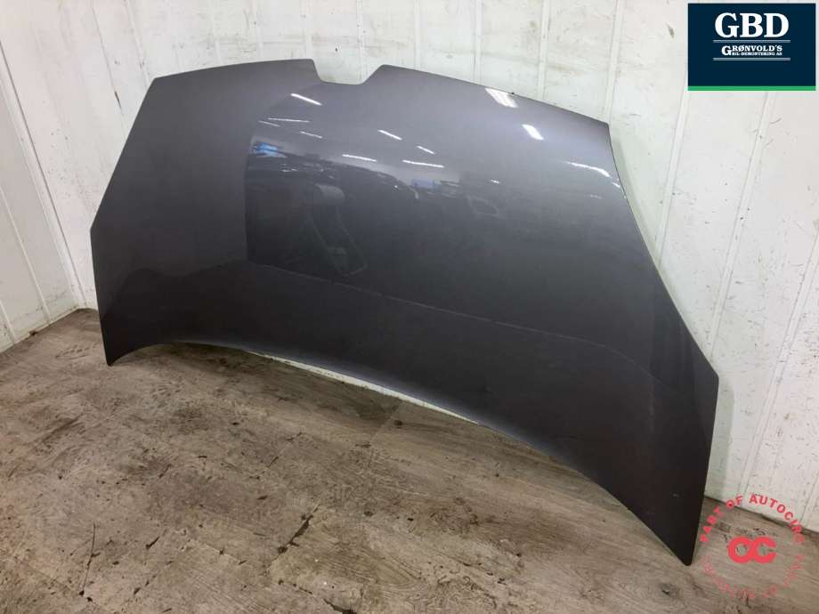 Panser til Renault Kangoo 2008-2021 (Type II) (651009758R|651001209R|)