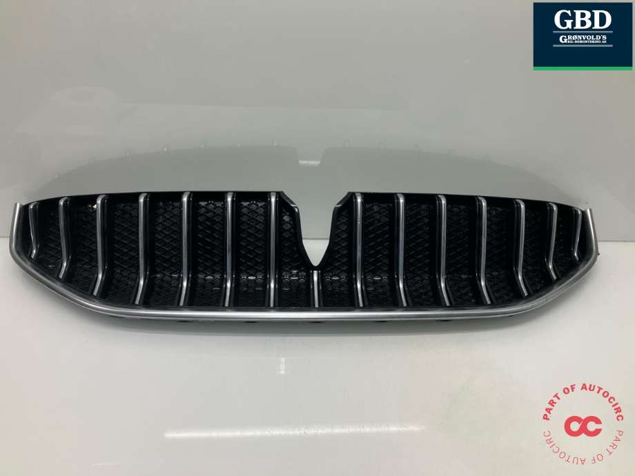 Grill til Voyah Free, 2021-->>  (791401001)