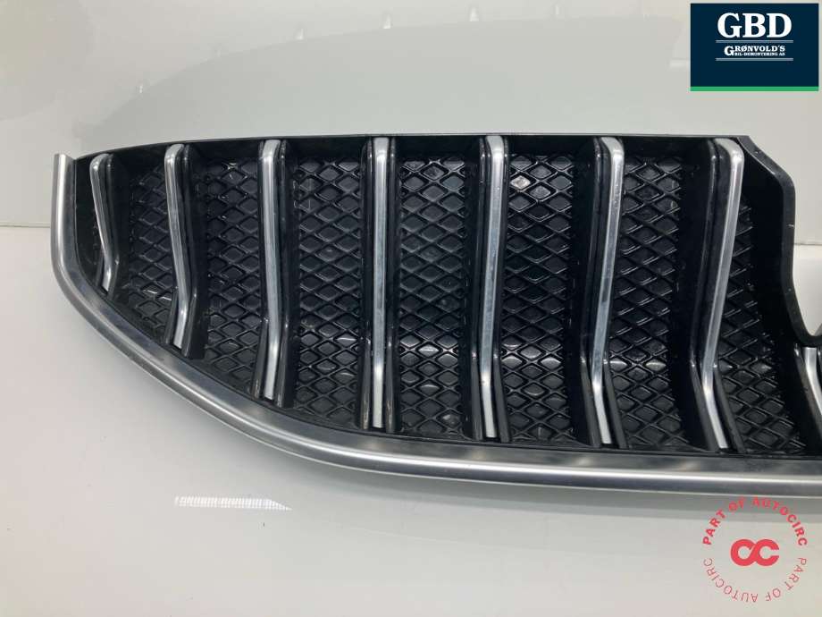 Grill til Voyah Free 2021-->>  (791401001|WH220515090050|)