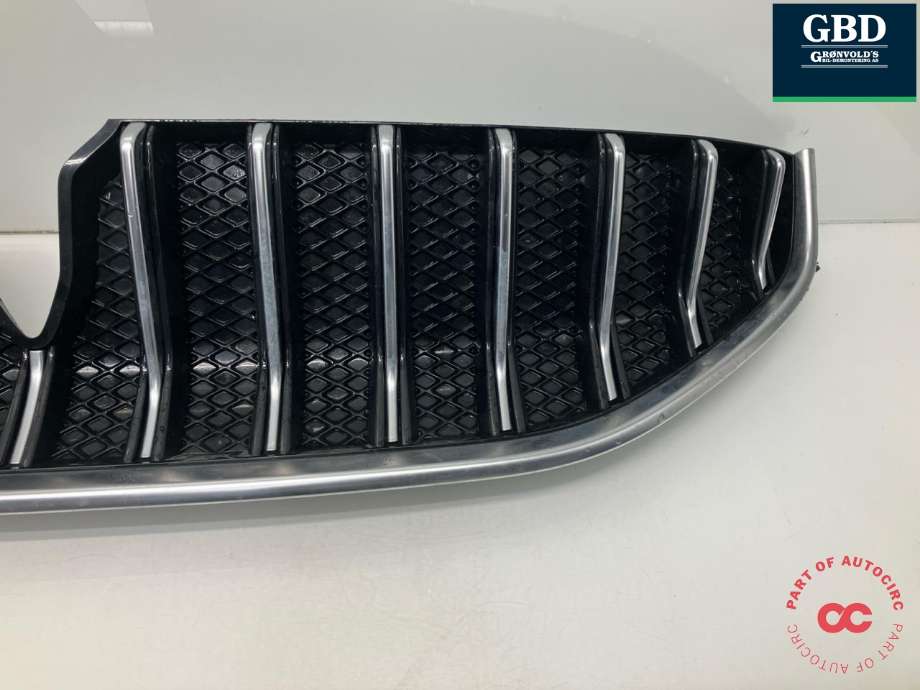 Grill til Voyah Free 2021-->>  (791401001|WH220515090050|)