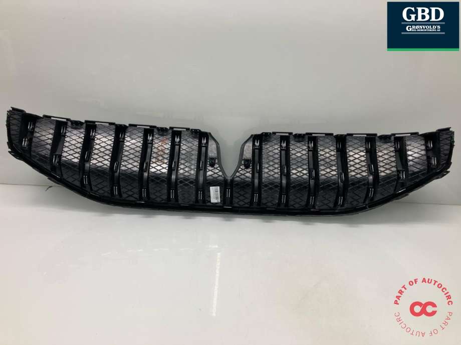 Grill til Voyah Free 2021-->>  (791401001|WH220515090050|)