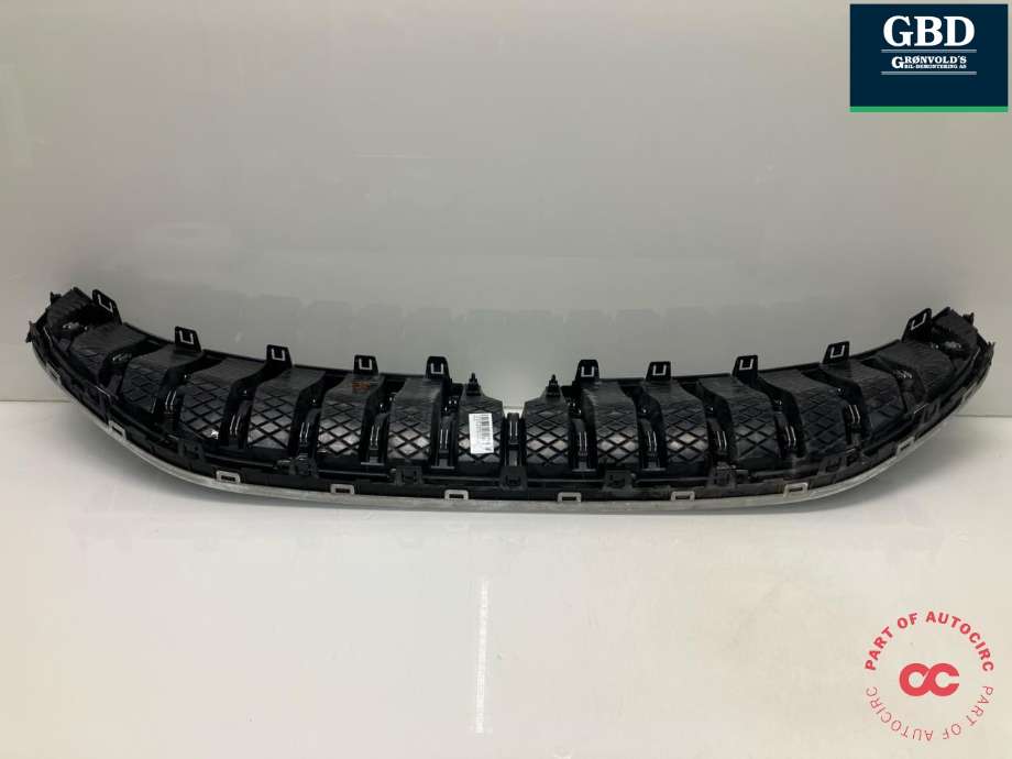 Grill til Voyah Free 2021-->>  (791401001|WH220515090050|)