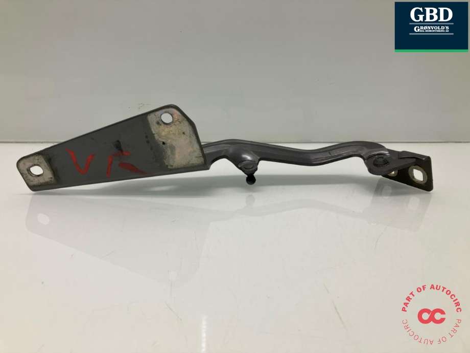 Panserhengsler til Renault Kangoo 2008-2021 (Type II)  (654013136R|654018491R|)