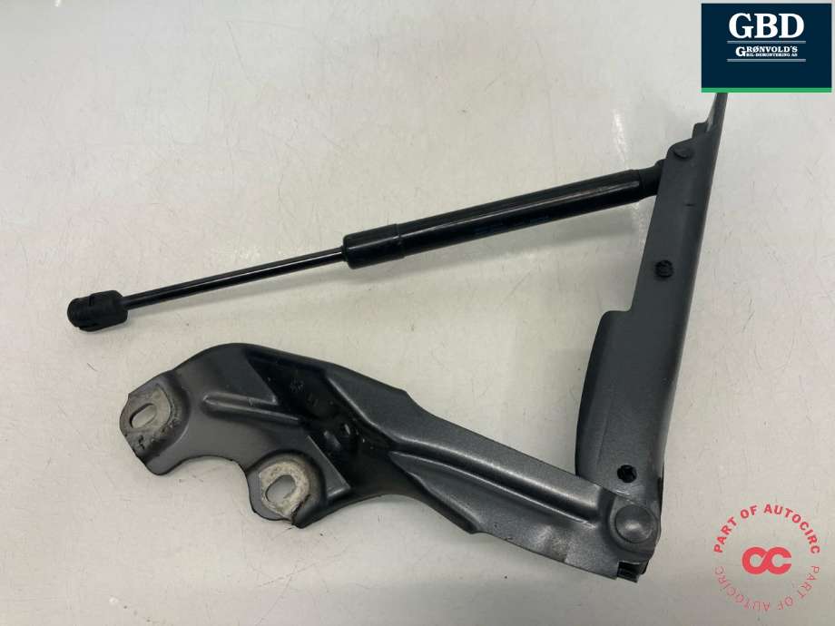 Panserhengsler til Audi A7 2010-2014 (Type I, Fase 1)  (4G8 823 301 E|)
