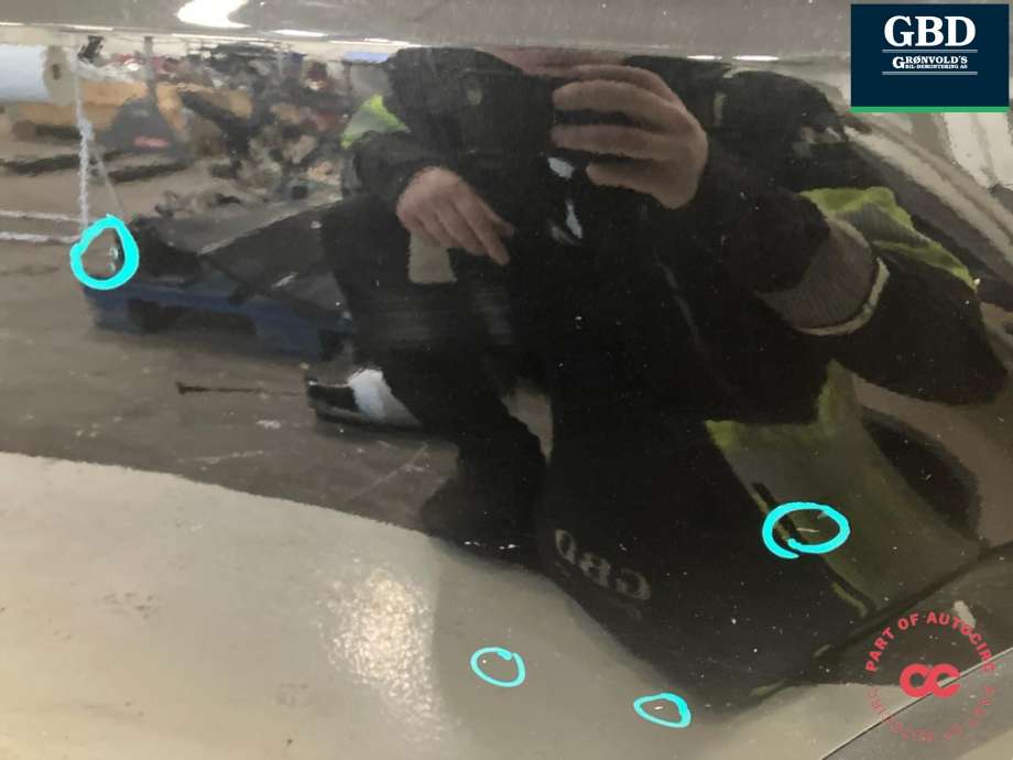 Dør venstre bak til Tesla Model X 2016-->> (1069537-E0-A|1028790-E0-K|)