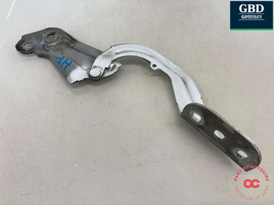 Panserhengsler til Ford Focus 2014-2018 (Type III, Fase 2)  (1750016|BM51-A16800-AD|)