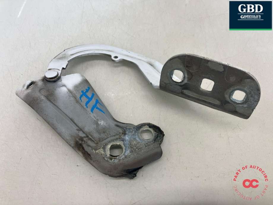 Panserhengsler til Ford Focus 2014-2018 (Type III, Fase 2)  (1750016|BM51-A16800-AD|)