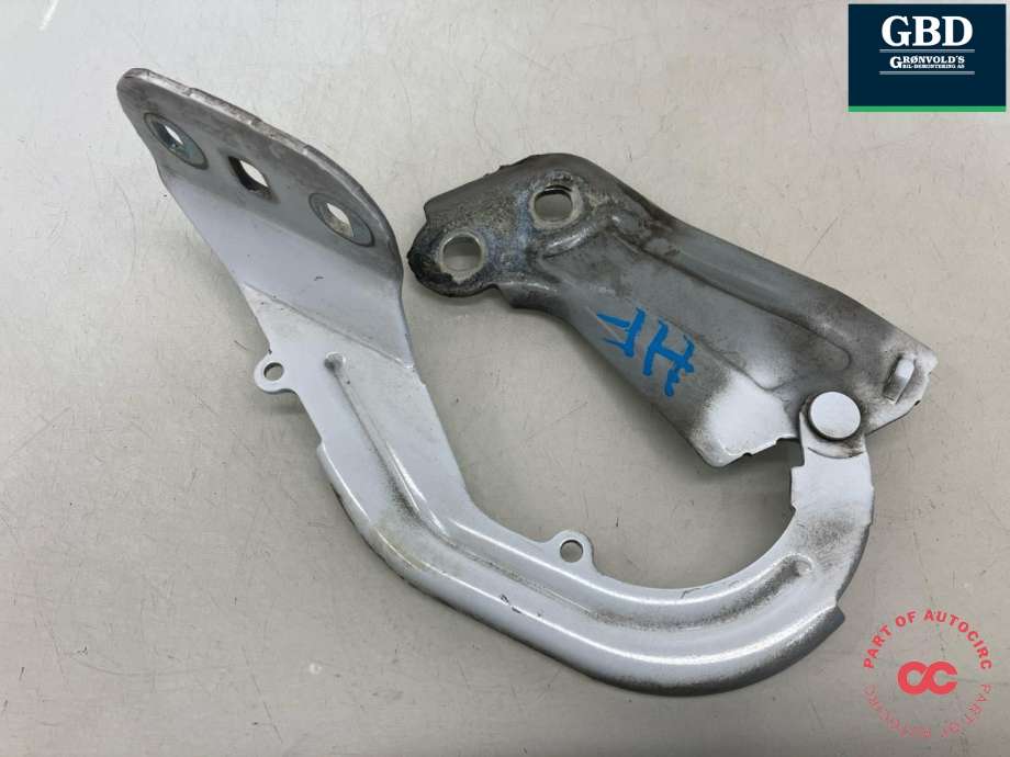 Panserhengsler til Ford Focus 2014-2018 (Type III, Fase 2)  (1750016|BM51-A16800-AD|)