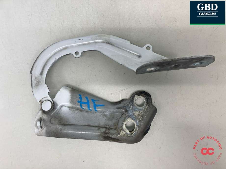 Panserhengsler til Ford Focus 2014-2018 (Type III, Fase 2)  (1750016|BM51-A16800-AD|)
