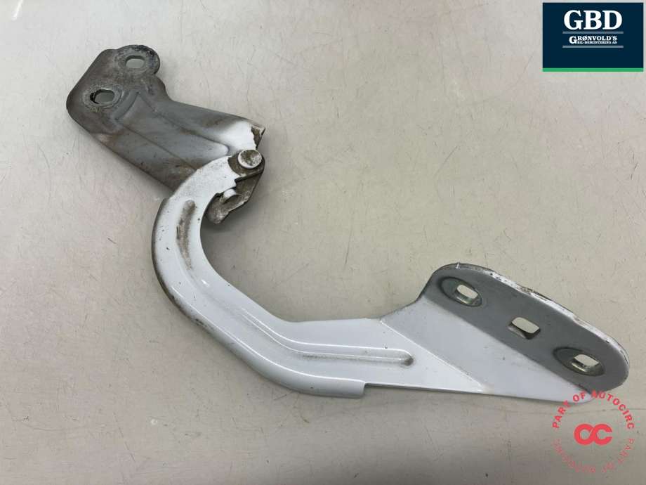 Panserhengsler til Ford Focus 2014-2018 (Type III, Fase 2) (1750018|BM51-A16801-AD|)