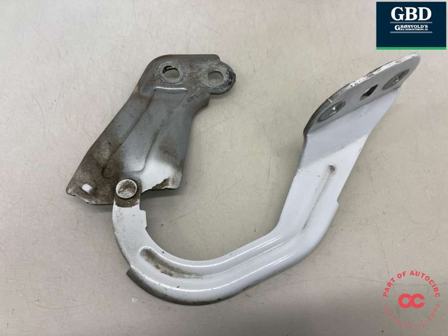 Panserhengsler til Ford Focus 2014-2018 (Type III, Fase 2) (1750018|BM51-A16801-AD|)