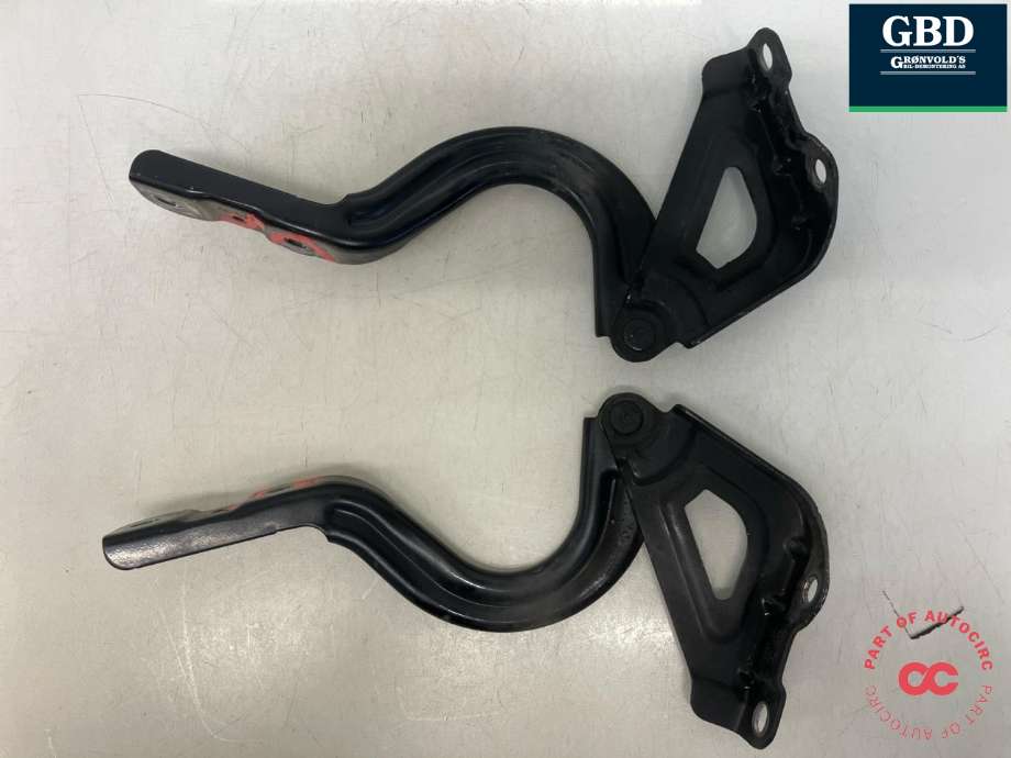 Panserhengsler til Hyundai Ioniq Electric 2016-2019 (Fase 1)  (79120G 2000|79110G 2000|)