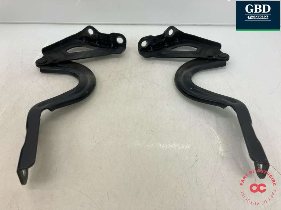 Panserhengsler til Hyundai Ioniq Electric 2016-2019 (Fase 1)  (79120G 2000|79110G 2000|)