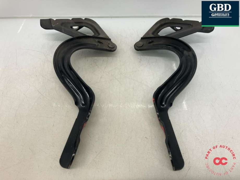 Panserhengsler til Hyundai Ioniq Electric 2016-2019 (Fase 1)  (79120G 2000|79110G 2000|)