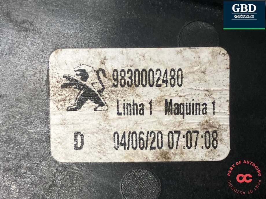 Ruteheis høyre bak til Peugeot e-2008 2019-->>  (98 300 024 80|430113G0|)