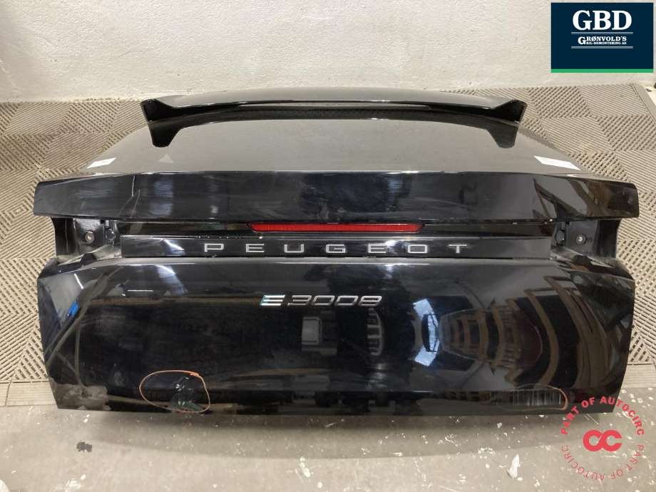 Bakluke til Peugeot e-3008 2023-->>  (16 923 738 80|)