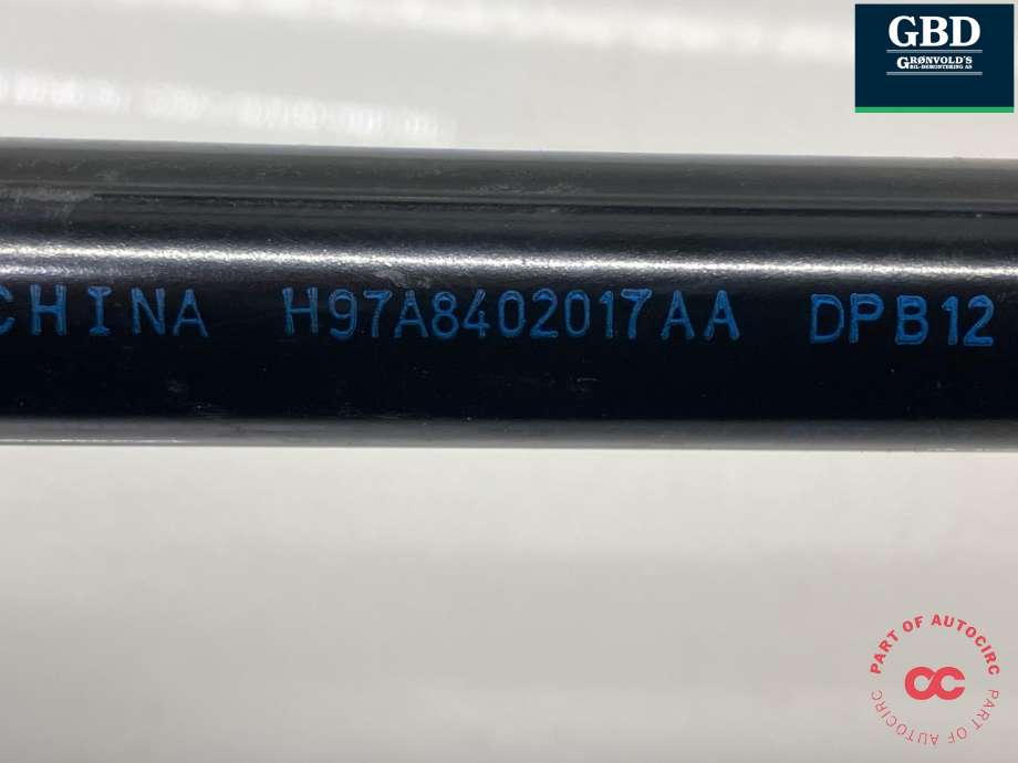 Panserdemper til Voyah Free 2021-->> (840205001|H97A8402017AA|)