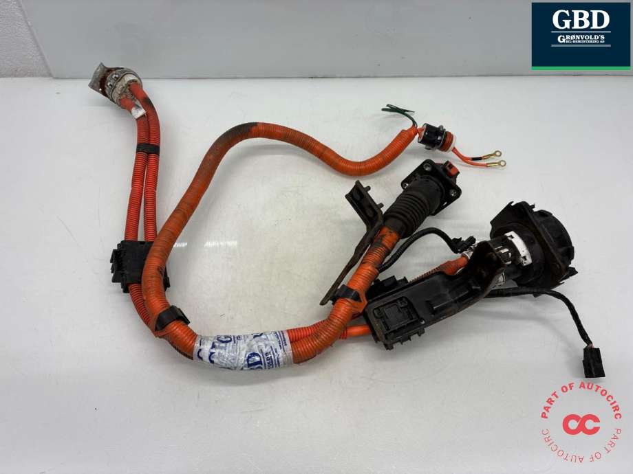 Batterilader inntak/luke til Nissan Leaf 2011-2017 (Type I)  (296B13NF0A|)