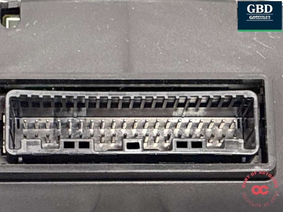 Instrumentpanel til Nissan Leaf 2011-2017 (Type I) (248104NR0A|)