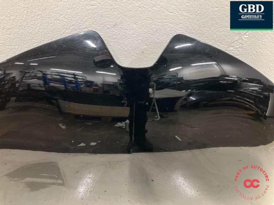 Panser til Renault Zoe 2013-2019 (Fase 1)  (651004516R|)