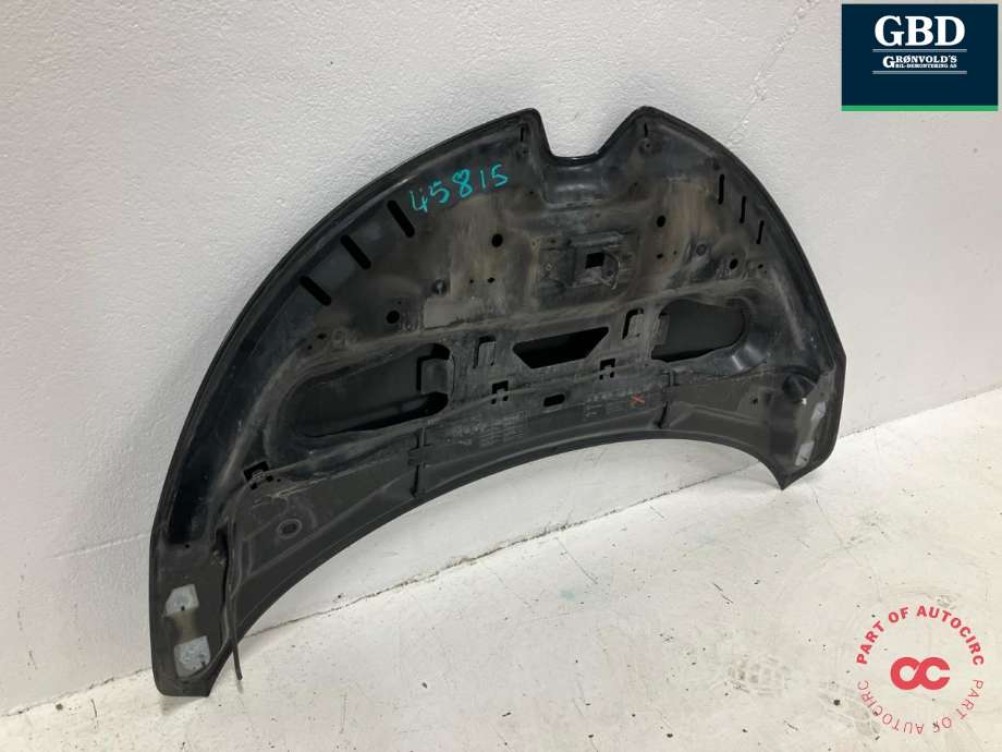 Panser til Renault Zoe 2013-2019 (Fase 1)  (651004516R|)