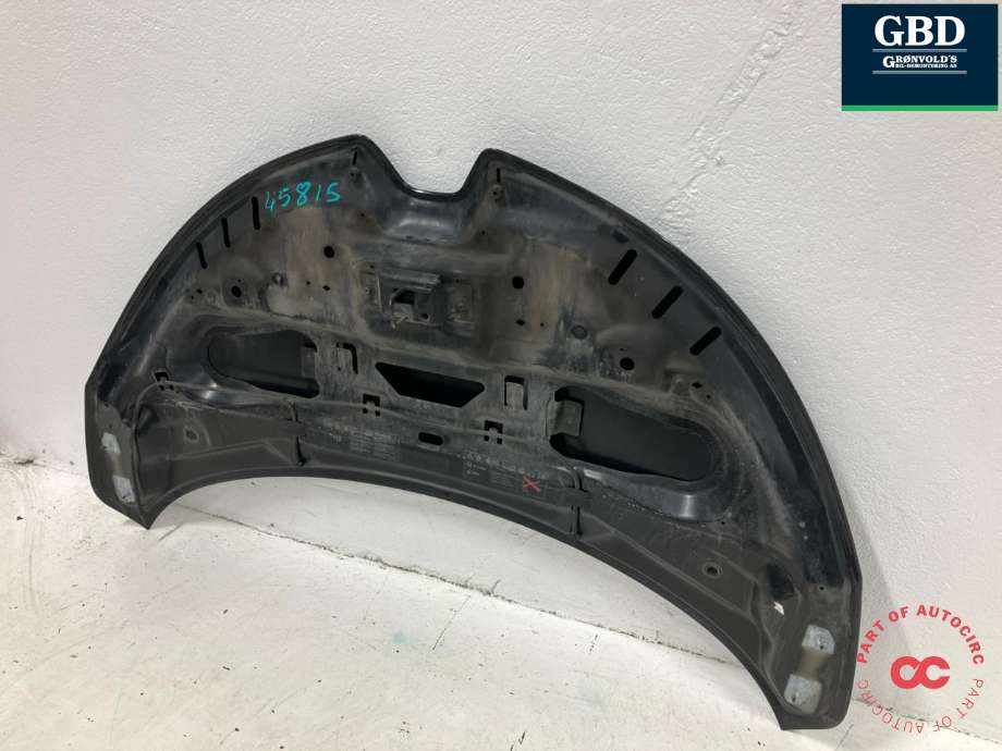 Panser til Renault Zoe 2013-2019 (Fase 1)  (651004516R|)