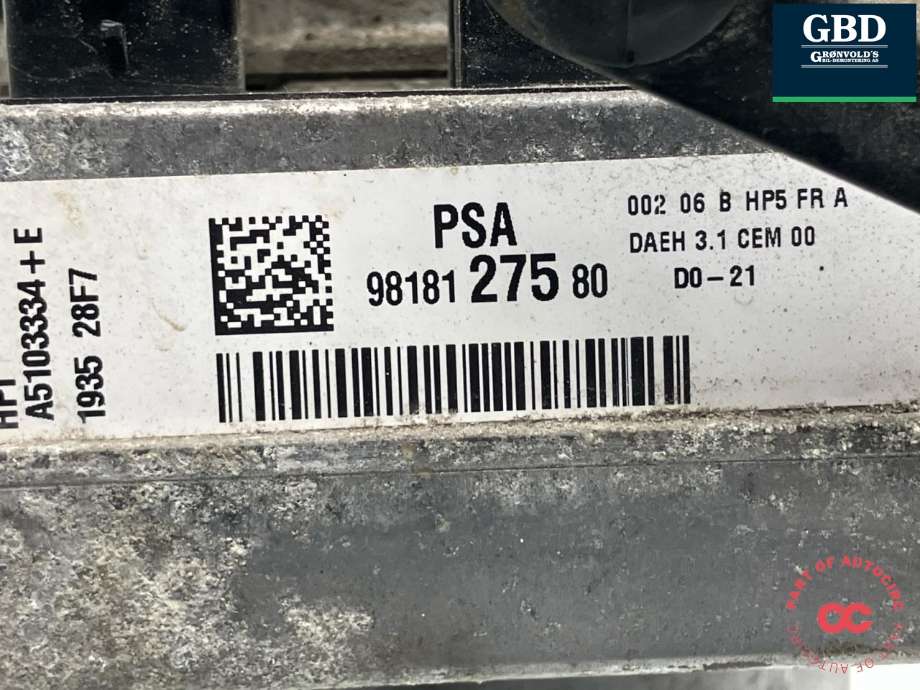 Servo pumpe elektrisk til Peugeot Expert 2016-->> (Type III)  (16 174 105 80|9818127580|)