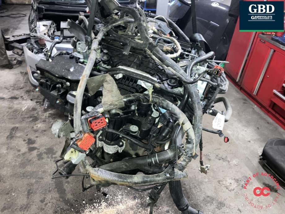 Motor diesel til Ford S-Max 2010-2015 (Type I, Fase 2) (TXWA|1681986|9M5Q-6006-BA)