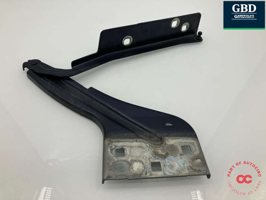 Panserhengsler til Jaguar F-PACE, 2016-->> (X761) (X761) (T4A1897)