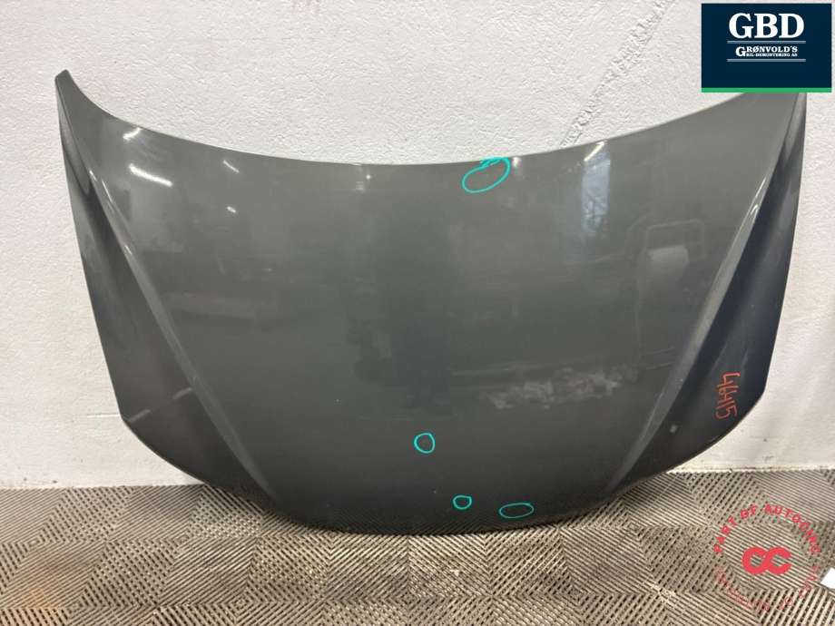 Panser til Hyundai Santa Fe 2006-2009 (Type II, Fase 1) (66400 2B030|)