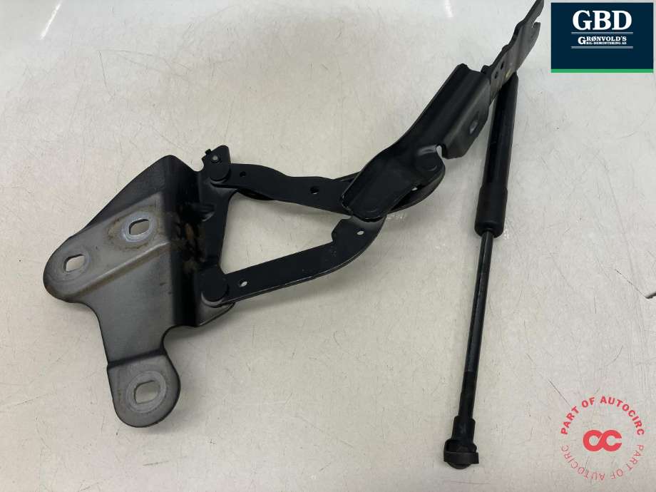 Panserhengsler til BMW X1, 2009-2015 (E84) (E84) (41 00 2 993 149)