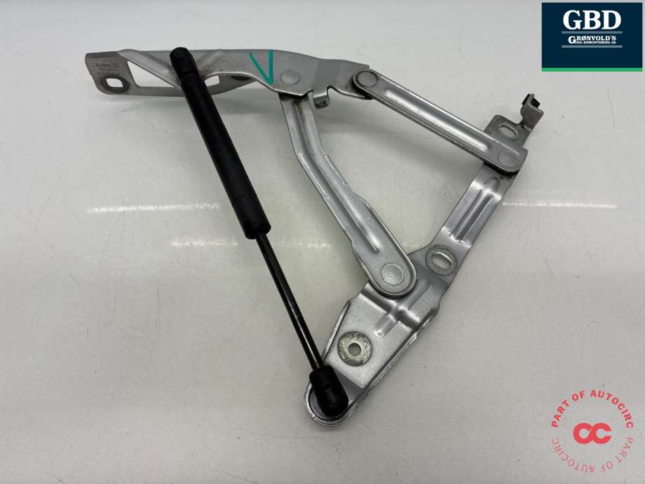 Panserhengsler til Audi TT 1998-2006 (Type I)  (8N0 823 301|)