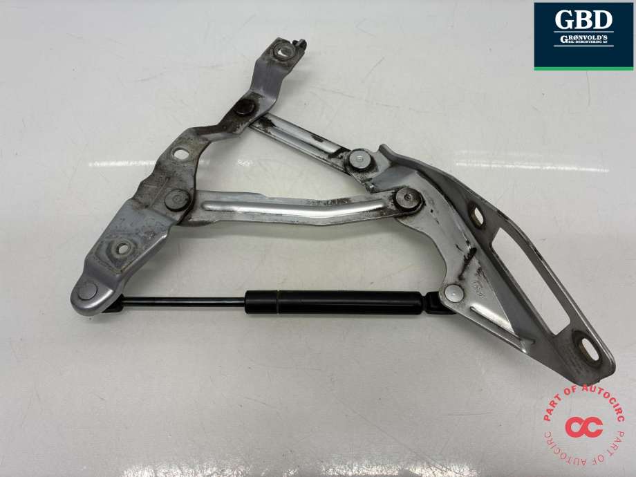 Panserhengsler til Audi TT 1998-2006 (Type I)  (8N0 823 301|)