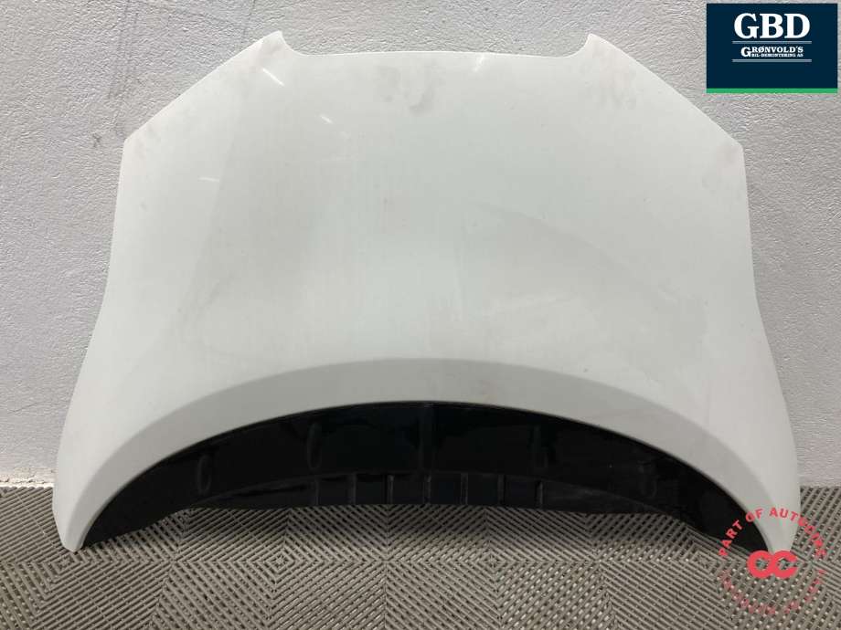 Panser til Nissan Leaf 2011-2017 (Type I) (F51003NLMA|)