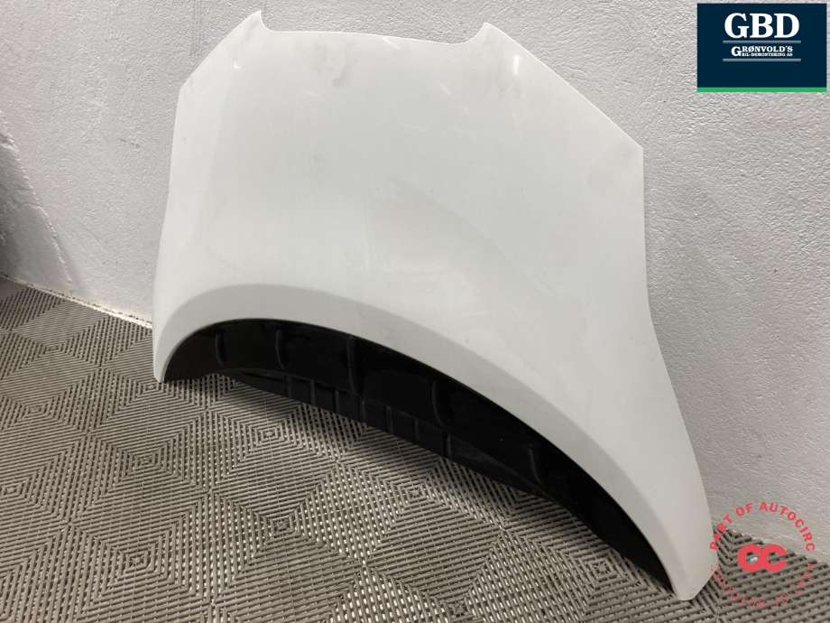 Panser til Nissan Leaf 2011-2017 (Type I) (F51003NLMA|)